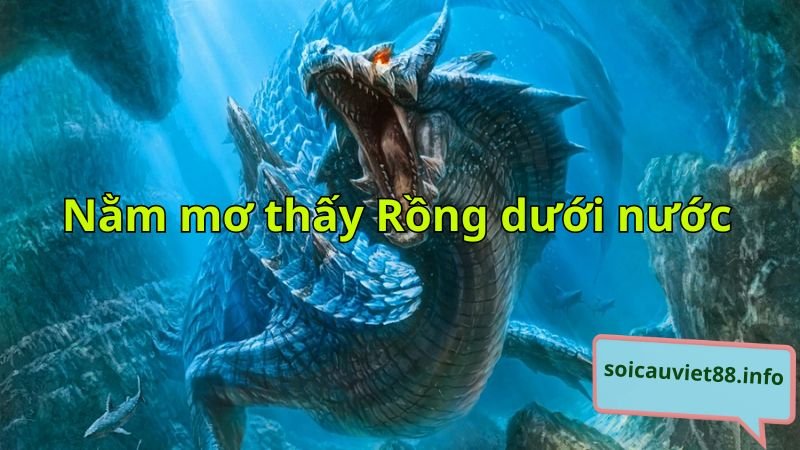 Nằm mơ thấy Rồng dưới nước