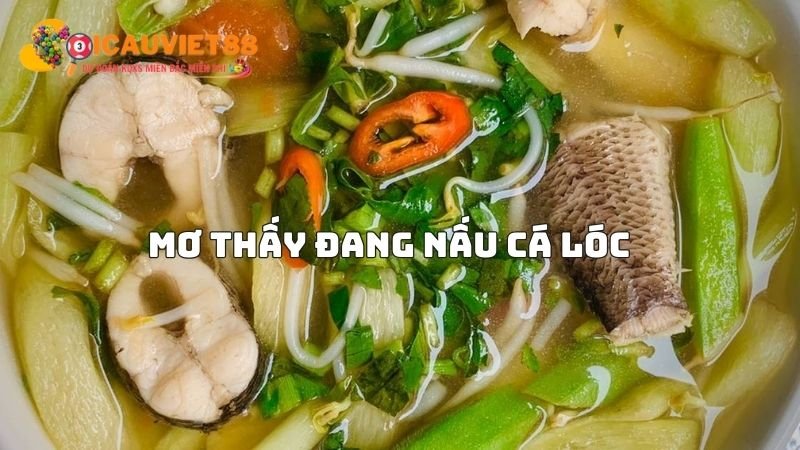 Mơ thấy đang nấu cá lóc