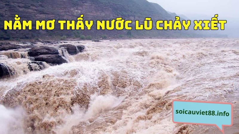 Nằm mơ thấy nước lũ chảy xiết