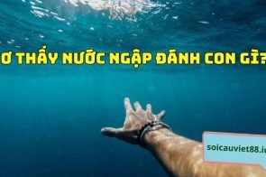 Nằm mơ thấy nước ngập đánh con gì dễ trúng xổ số?