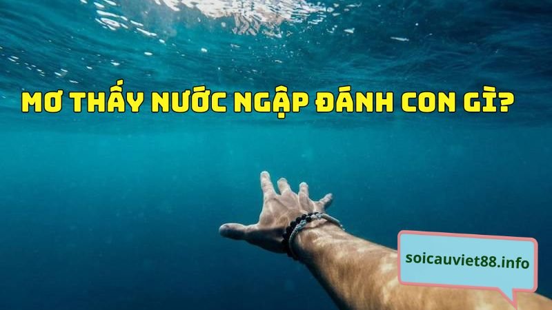 Mơ thấy nước ngập đánh con gì?