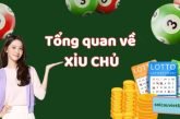 Xỉu chủ là gì? Dự đoán xỉu chủ miền bắc hôm nay chuẩn xác