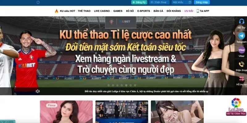 Ku thể thao có gì đặc biệt? Tất cả những điều bạn cần biết